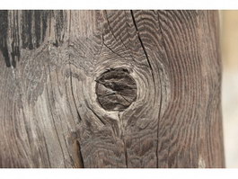 Deadwood tree knot texture