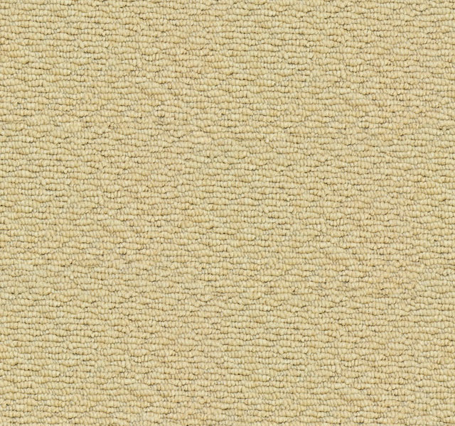 Looped carpet texture