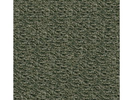 Cut pile wool carpet texture