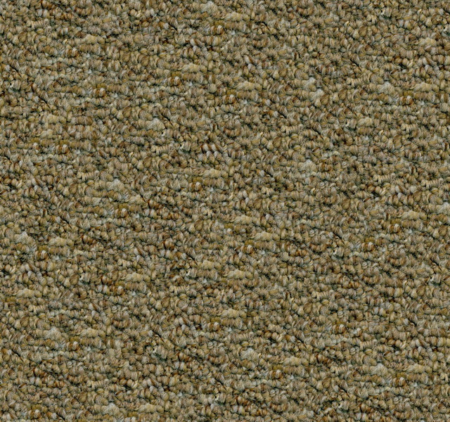 Shaggy Wool Carpet texture