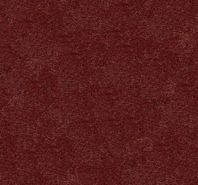 Dyed Nylon Carpet texture