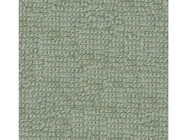 Cut loop carpet texture