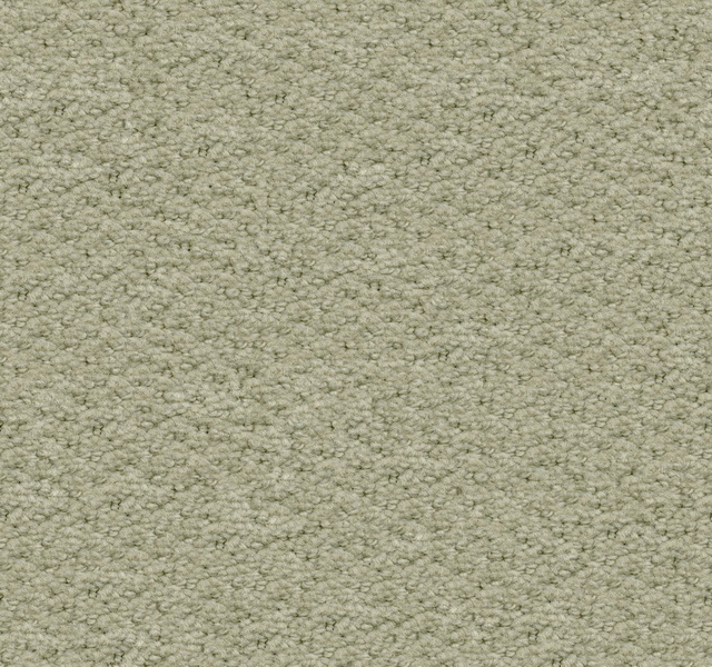 Loop tufted carpet texture