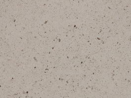 Portugal Sandstone texture