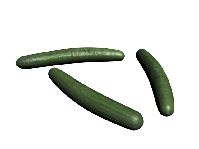 Cetriolo Cucumber 3d rendering