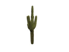 Huge Cactus 3d model preview