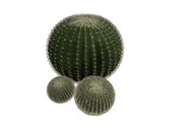 Ball Cactus 3d model preview