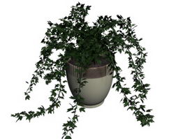 Potted patio plant 3d model preview