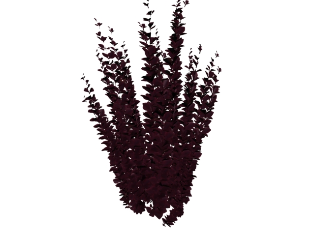 Purple shrub 3d rendering