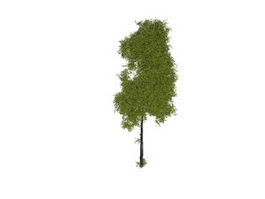 Wild plant tree 3d model preview
