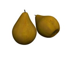 Bosc pear 3d model preview