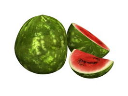 Watermelon with slice 3d model preview