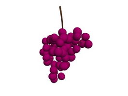 Red grape fruit 3d model preview