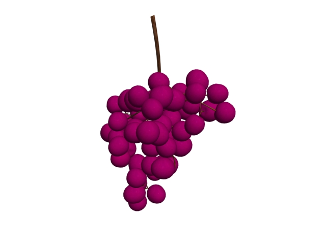 Red grape fruit 3d rendering