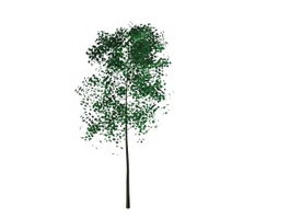 Tree and leaf 3d model preview