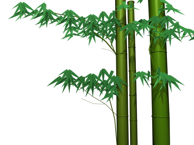 Bamboo and leaves 3d rendering