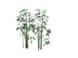 Bamboo grove 3d model preview