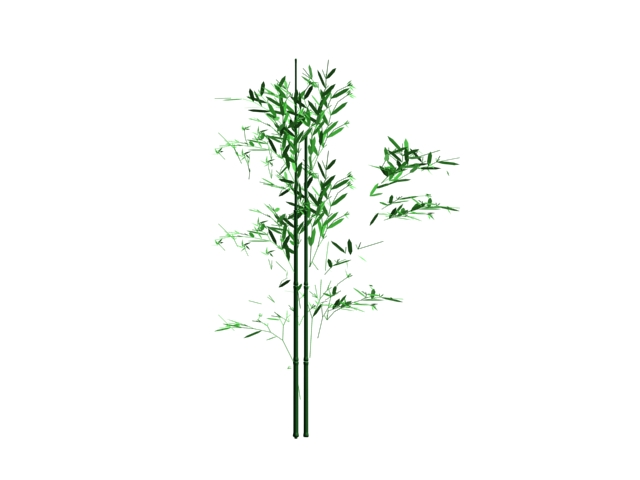 Wild bamboo 3d rendering