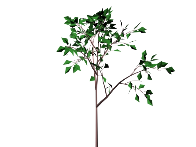 Branches and leaves 3d rendering