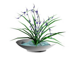 Potted orchids 3d model preview