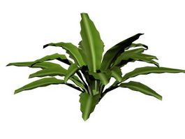 Moth orchid 3d model preview