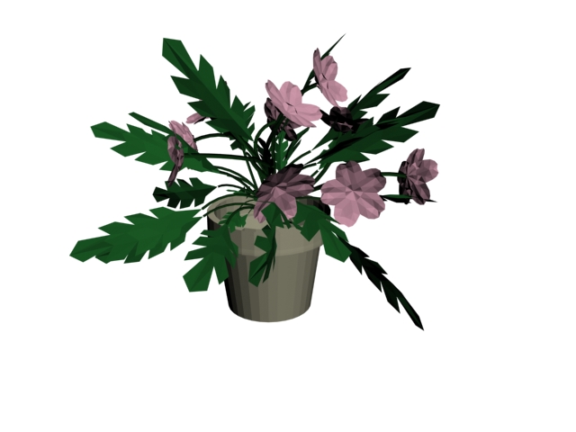 Indoor flower bonsai 3d rendering