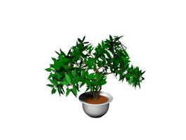 Potted landscape plant 3d model preview