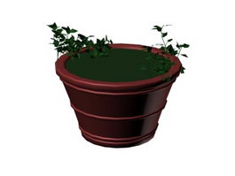 Small Potted Plant 3d model preview