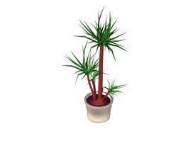 Potted green plant 3d model preview