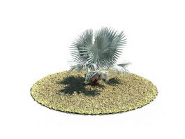 Bismarckia nobilis tree 3d model preview