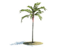 Areca vestiaria tree 3d model preview
