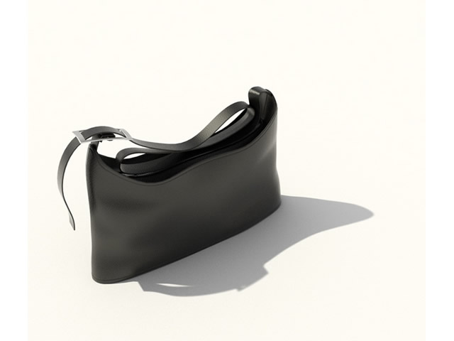 Lady handbag 3d rendering