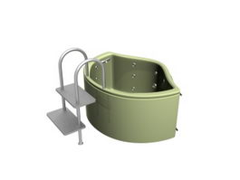 Whirlpool bathtub with ladder 3d model preview