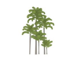 Tropical plants palm trees 3d model preview