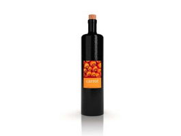 Carrot wine 3d model preview