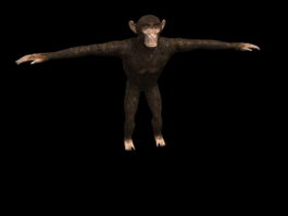 Chimpanzee 3d preview