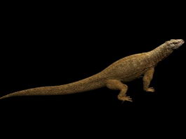 Monitor lizards Komodo dragon 3d model preview