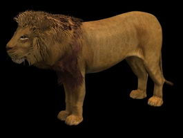 Male lion 3d model preview