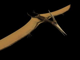 Pteranodon 3d model preview