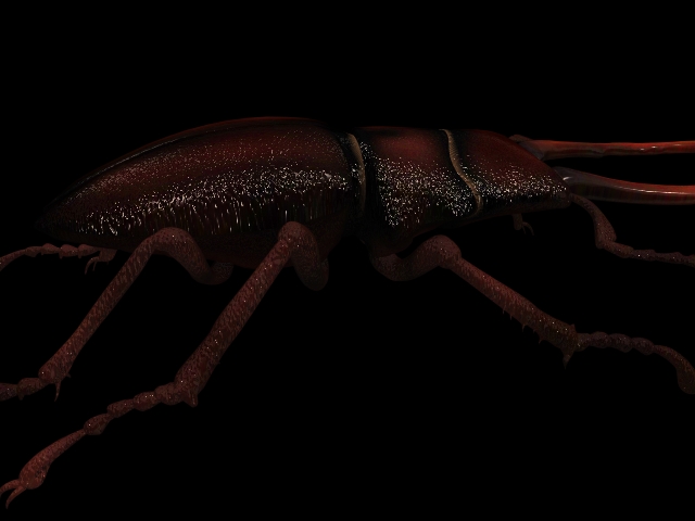 Stag beetle 3d rendering