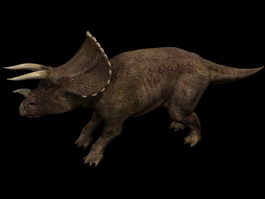 Triceratops prorsus 3d model preview