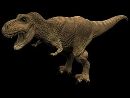 Tyrannosaurus rex dinosaur 3d model preview