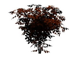 Wild cherry tree 3d model preview