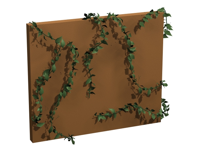 Hedera colchica Persian ivy 3d rendering