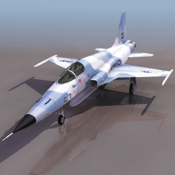 USAF F-5F Tiger II fighter aircraft 3d rendering