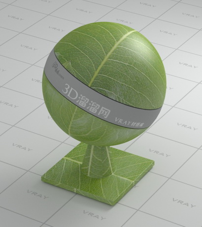 Pear leaf material rendering
