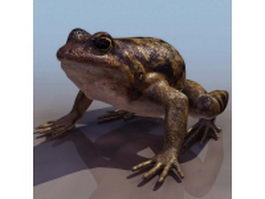 European spadefoot toad 3d model preview