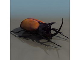Coleoptera beetle 3d preview