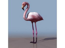 Pink flamingo 3d model preview