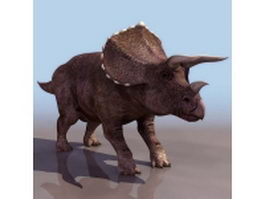 Adult triceratop 3d model preview